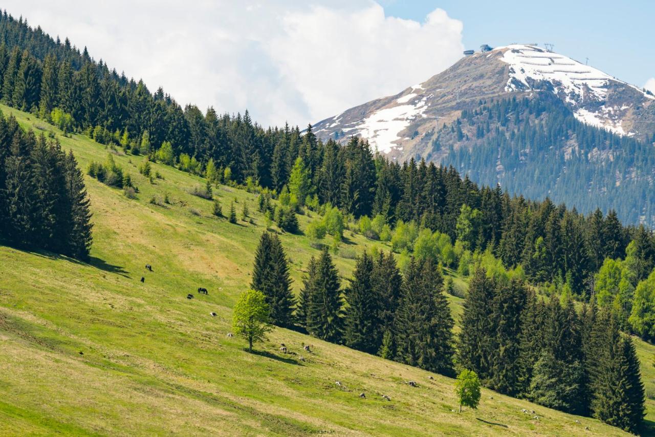 Appartements Bernhofer Saalbach-Hinterglemm Dış mekan fotoğraf
